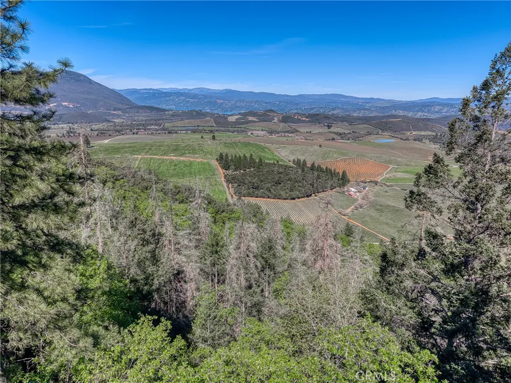 9237 Diamond Dust Kelseyville, CA 95451
