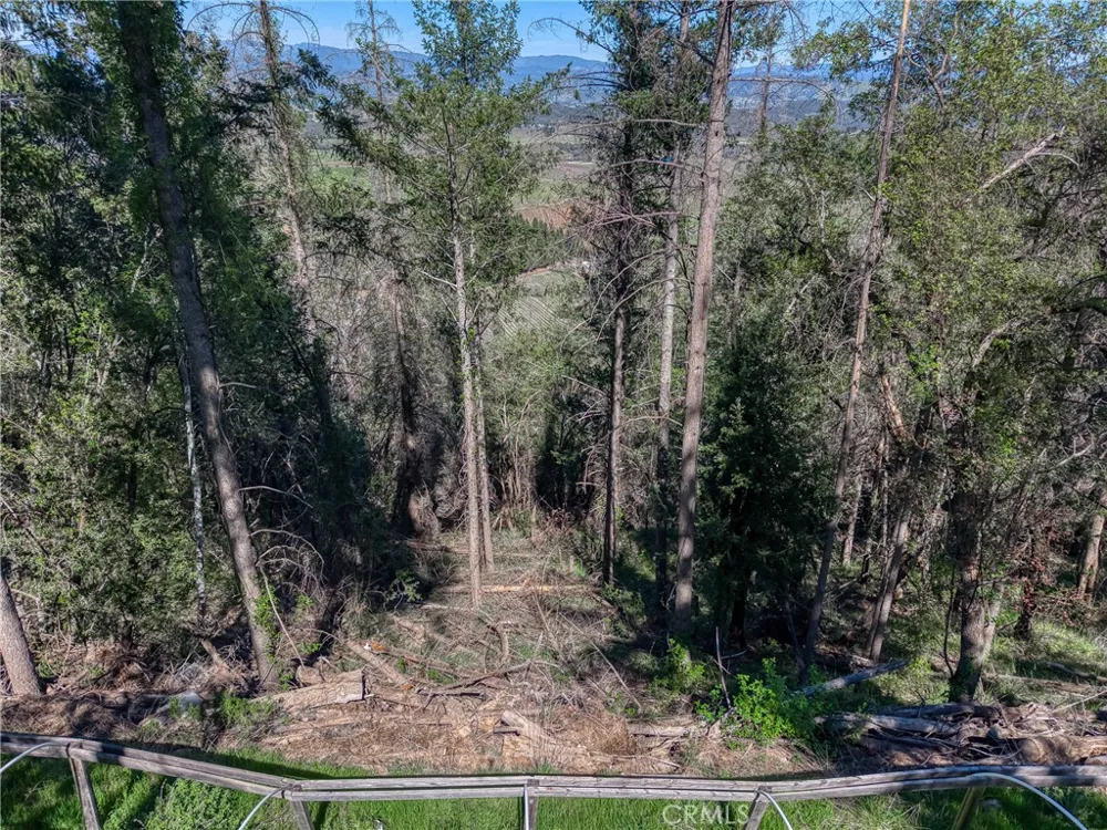 9237 Diamond Dust Kelseyville, CA 95451
