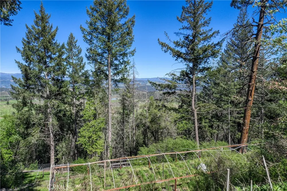 9237 Diamond Dust Kelseyville, CA 95451