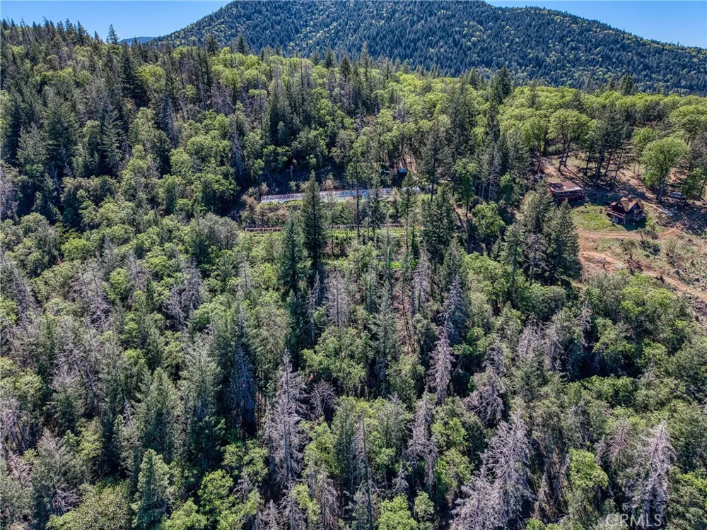 9237 Diamond Dust Kelseyville, CA 95451