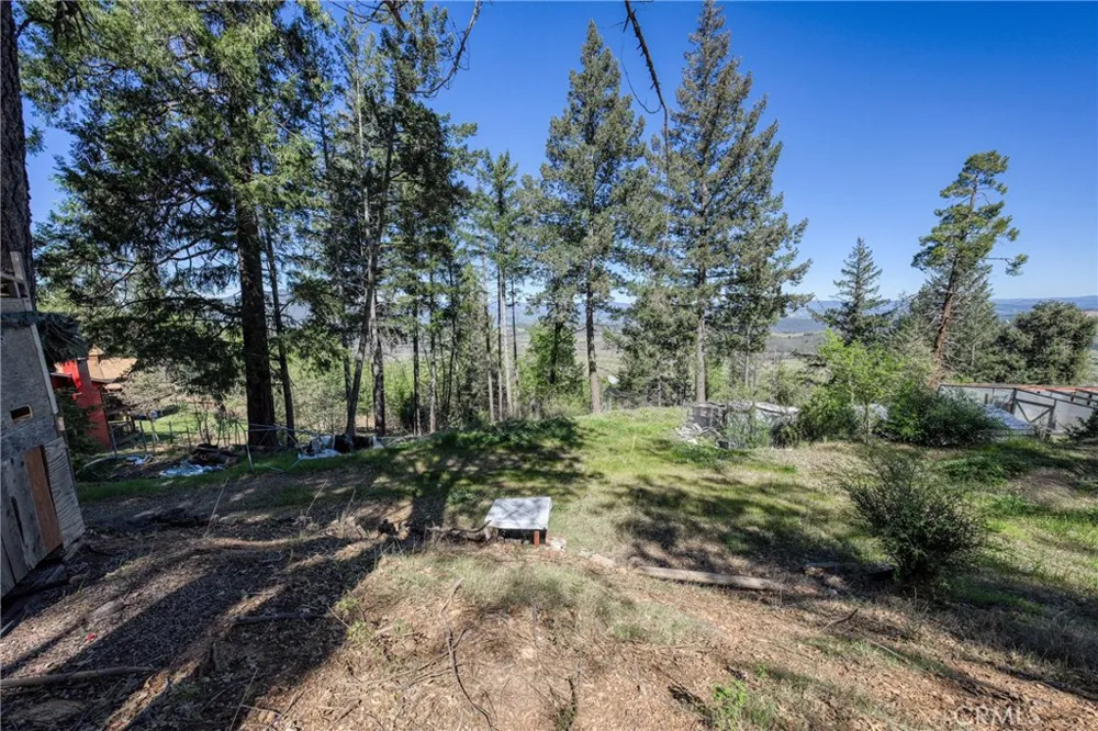 9237 Diamond Dust Kelseyville, CA 95451