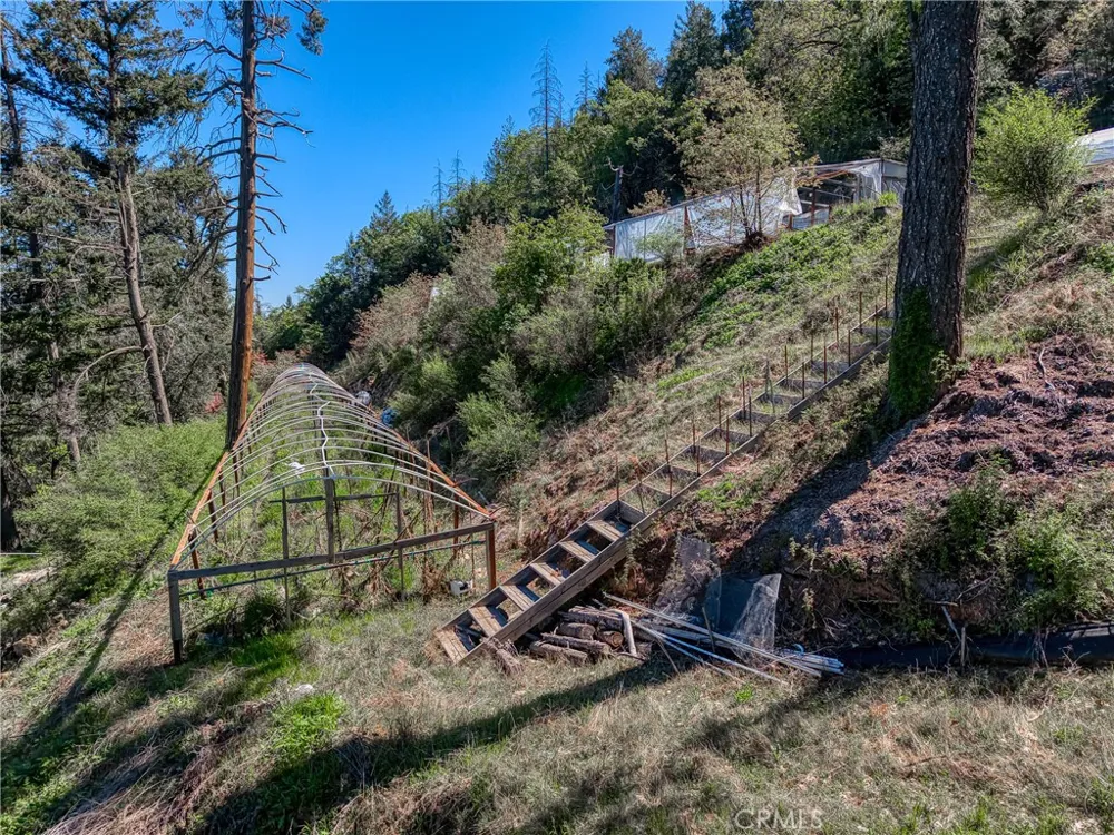 9237 Diamond Dust Kelseyville, CA 95451