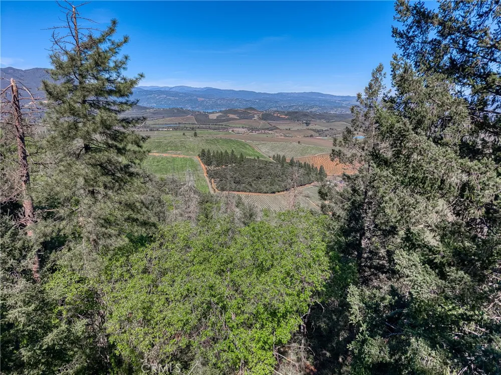 9237 Diamond Dust Kelseyville, CA 95451