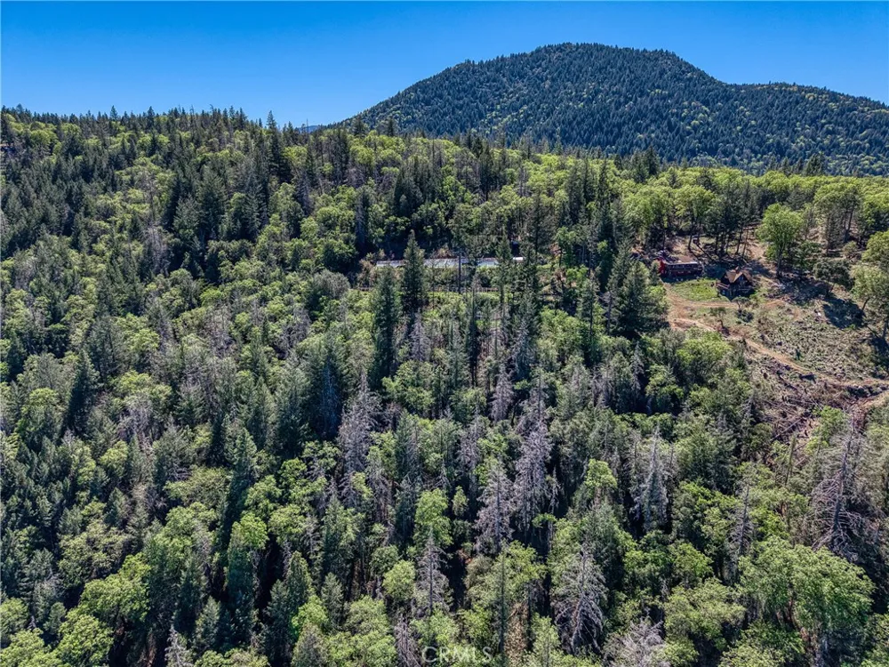 9237 Diamond Dust Kelseyville, CA 95451