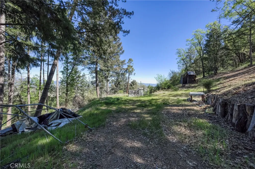 9237 Diamond Dust Kelseyville, CA 95451