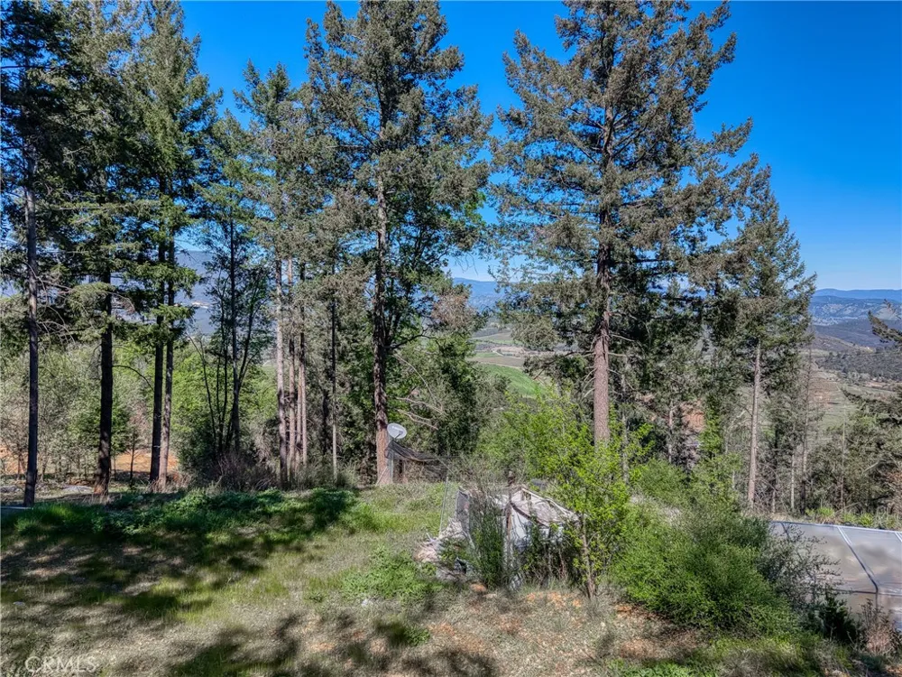 9237 Diamond Dust Kelseyville, CA 95451