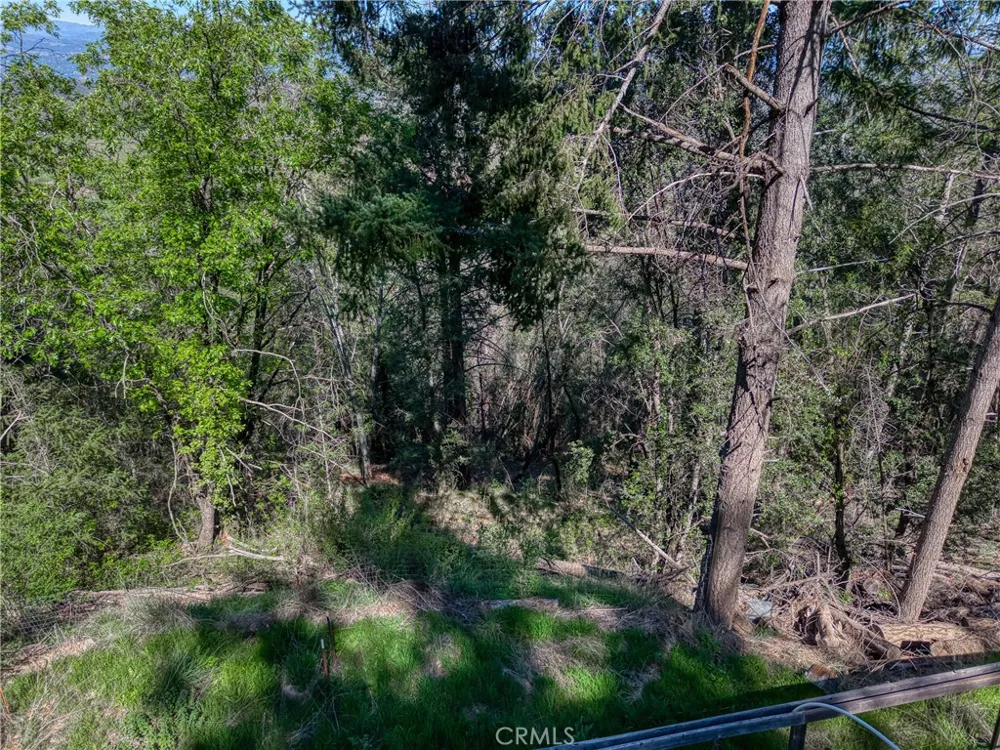 9237 Diamond Dust Kelseyville, CA 95451