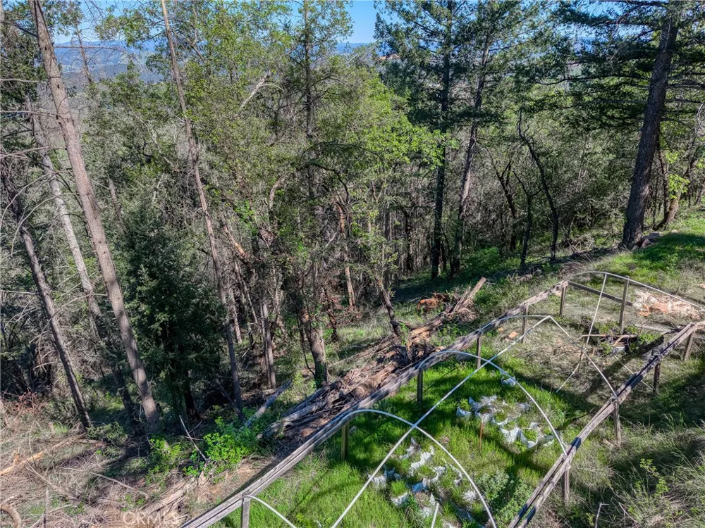 9237 Diamond Dust Kelseyville, CA 95451