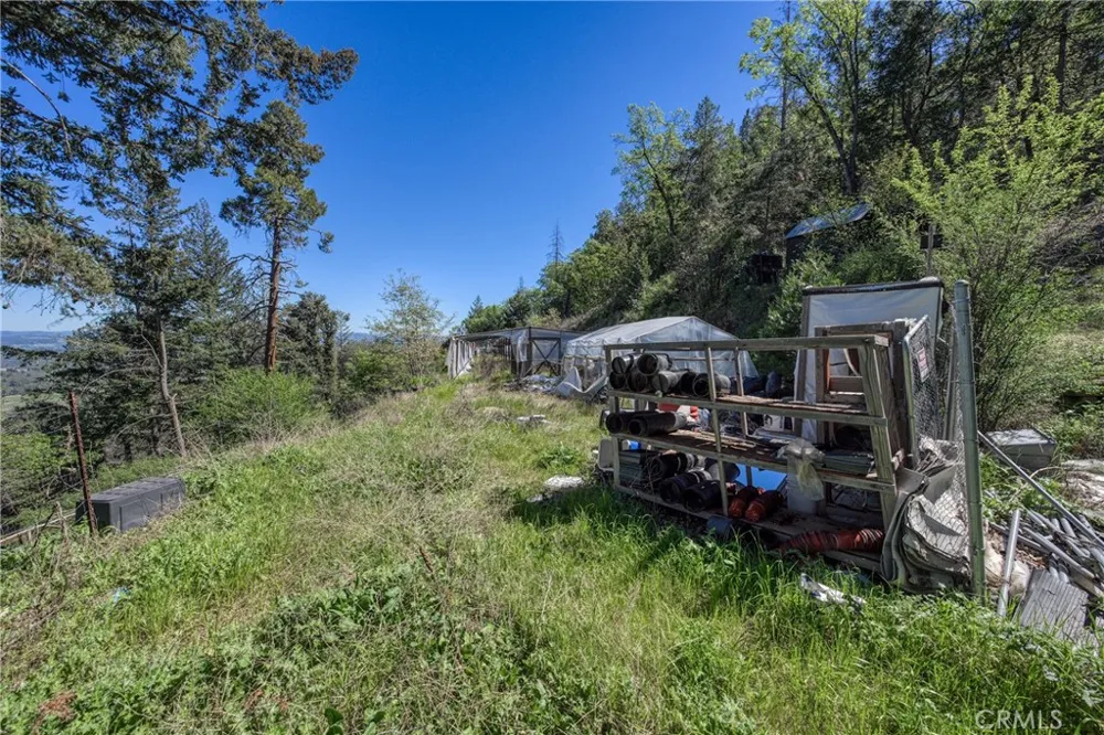 9237 Diamond Dust Kelseyville, CA 95451