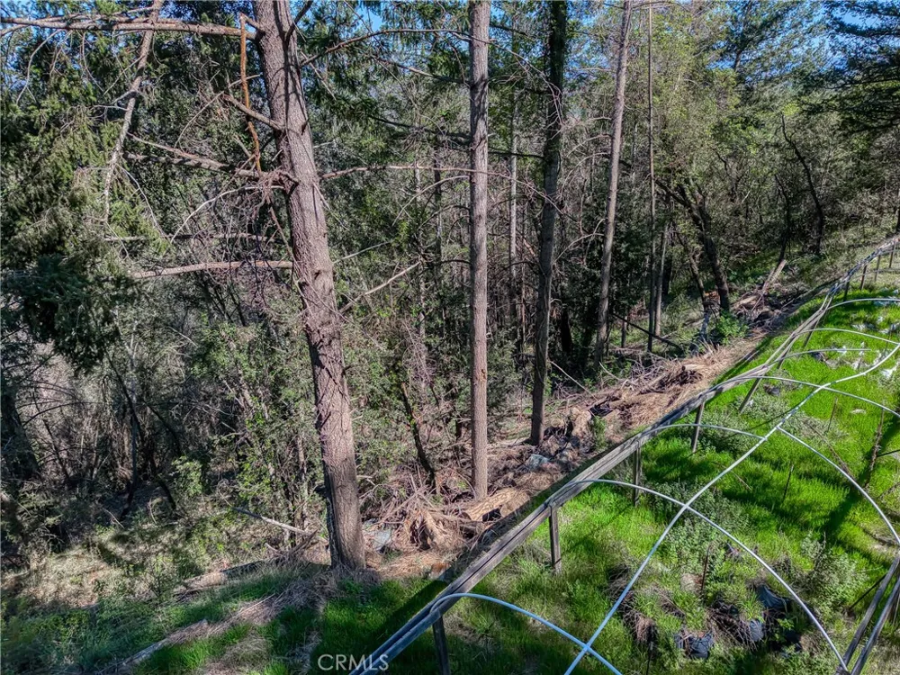 9237 Diamond Dust Kelseyville, CA 95451