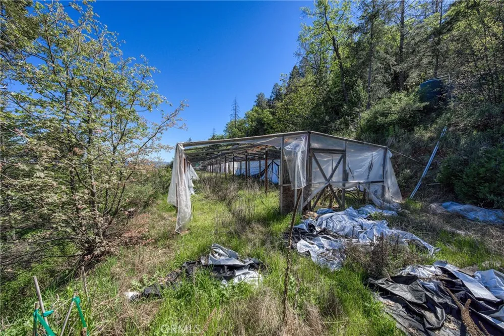 9237 Diamond Dust Kelseyville, CA 95451
