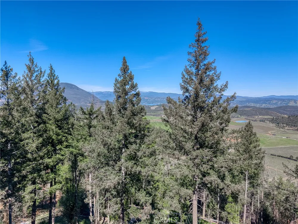 9237 Diamond Dust Kelseyville, CA 95451