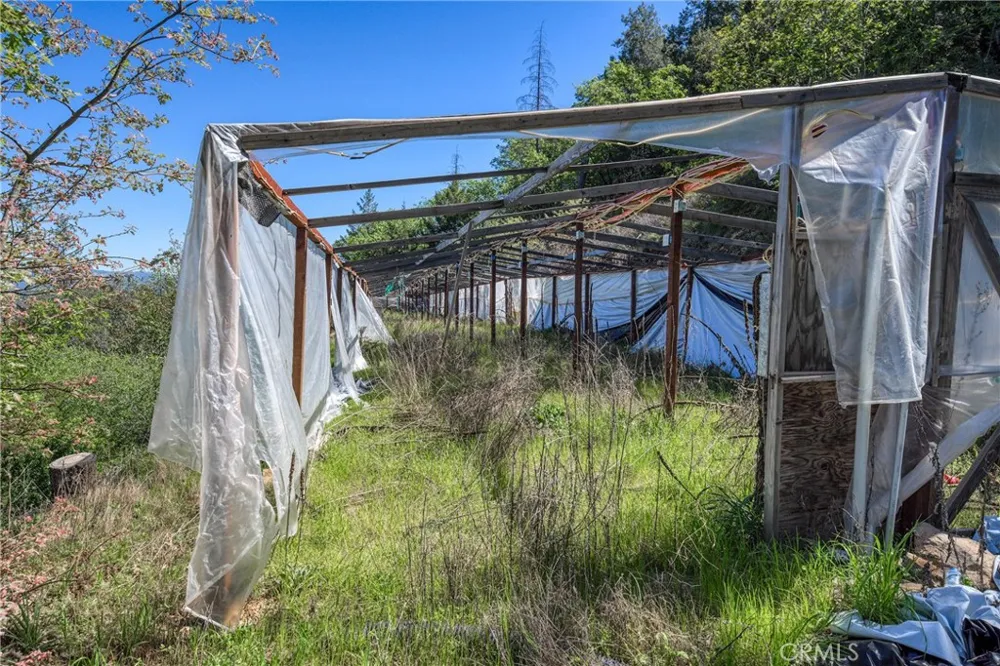 9237 Diamond Dust Kelseyville, CA 95451