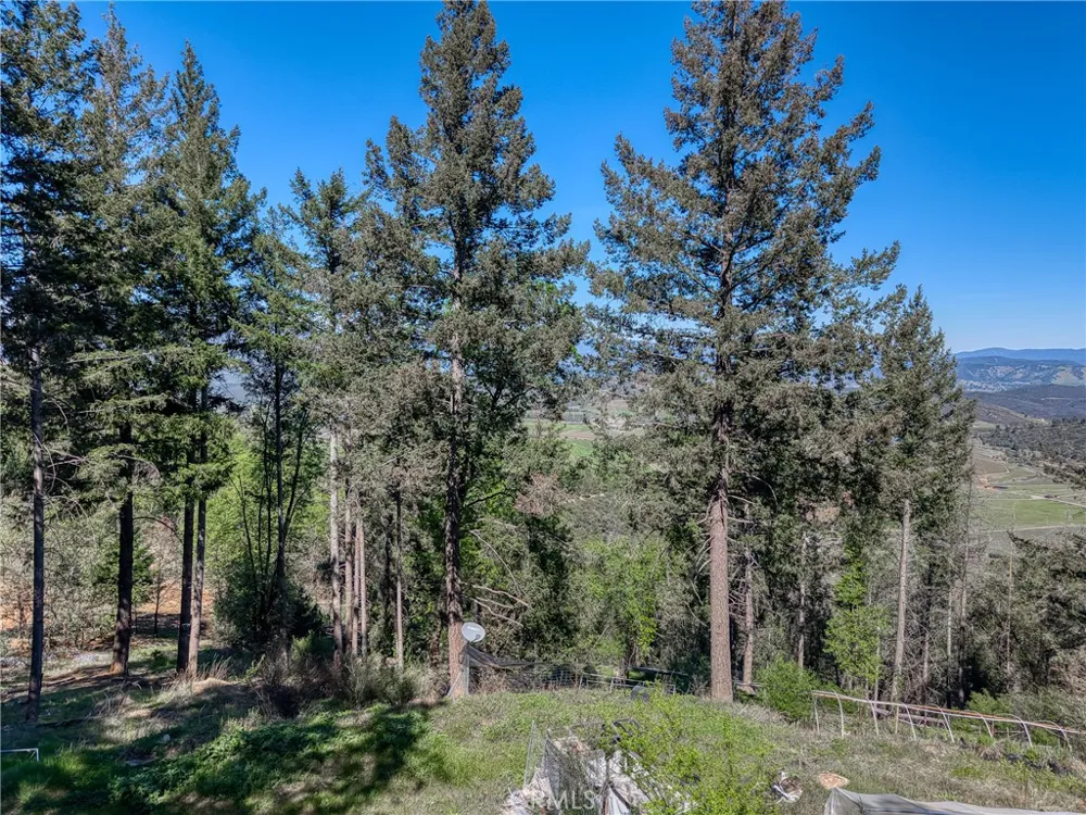 9237 Diamond Dust Kelseyville, CA 95451