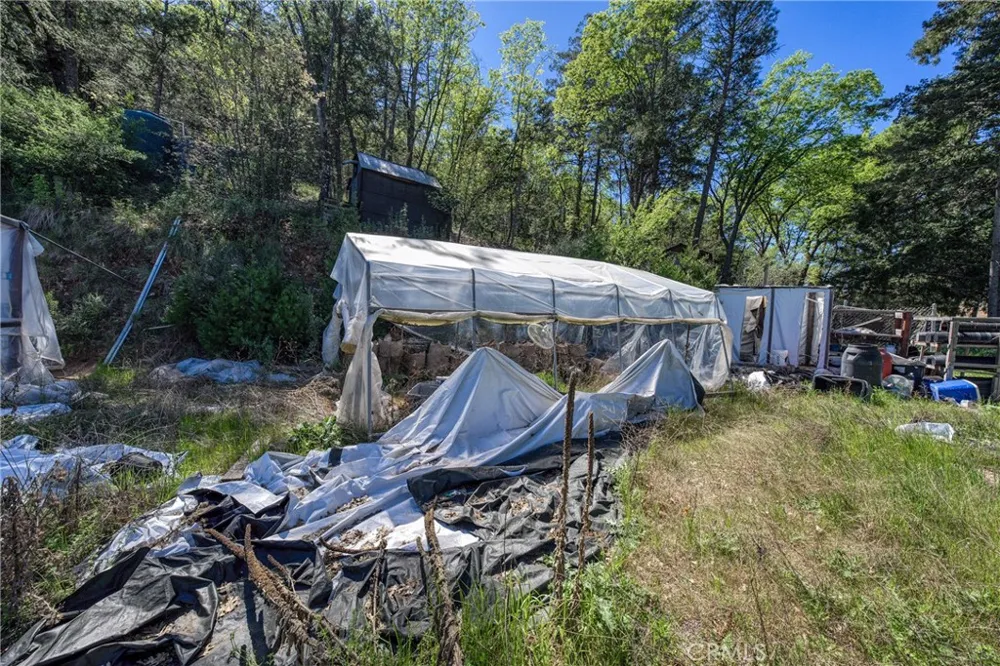 9237 Diamond Dust Kelseyville, CA 95451