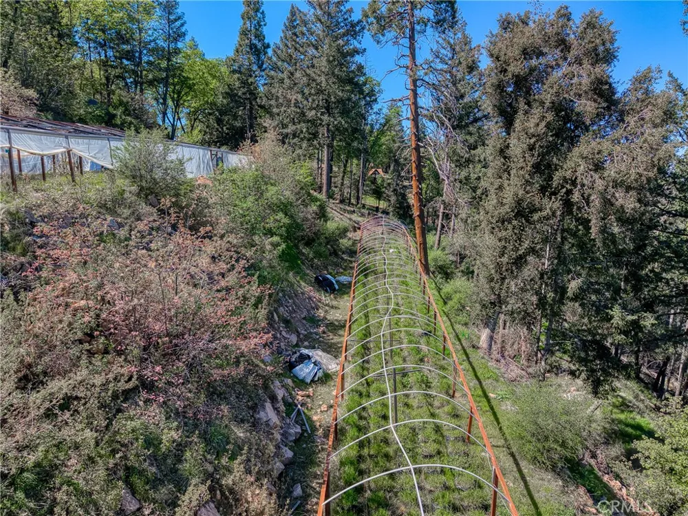 9237 Diamond Dust Kelseyville, CA 95451