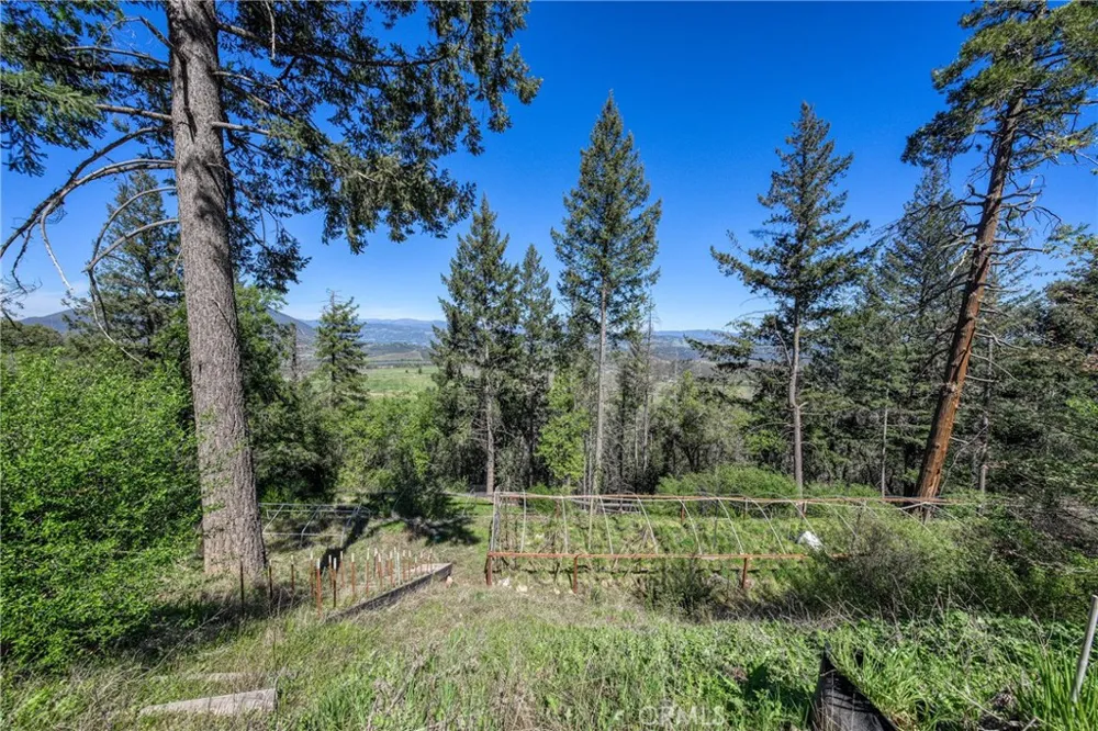 9237 Diamond Dust Kelseyville, CA 95451