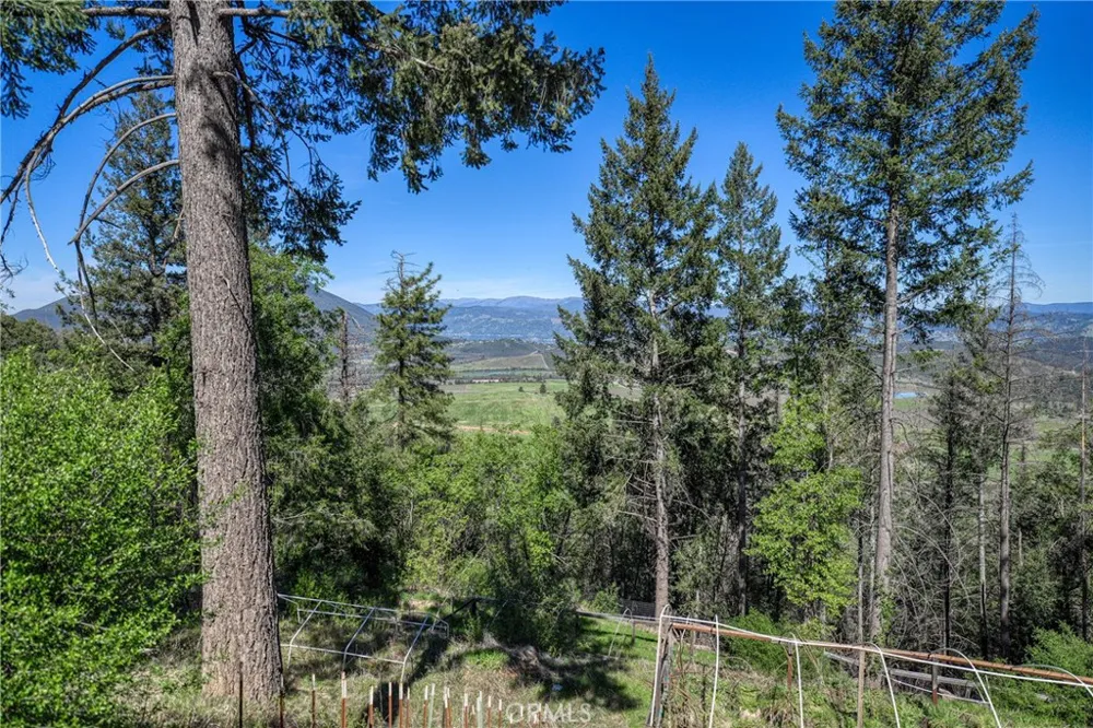 9237 Diamond Dust Kelseyville, CA 95451