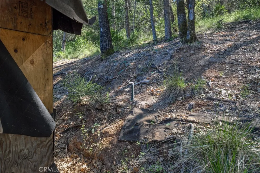 9237 Diamond Dust Kelseyville, CA 95451