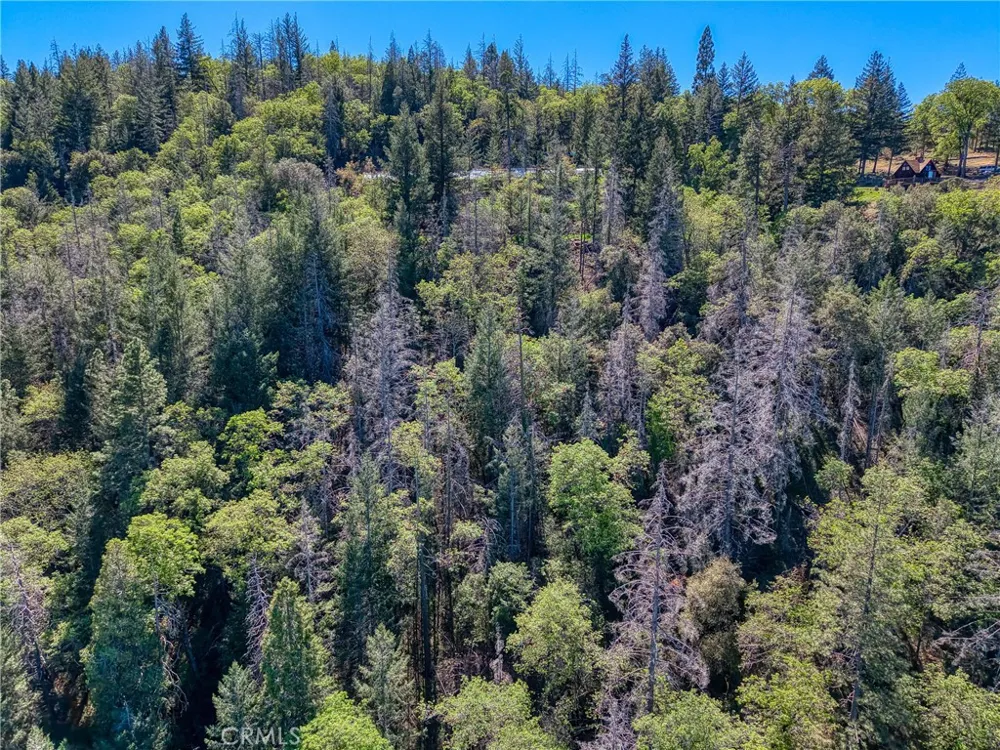 9237 Diamond Dust Kelseyville, CA 95451