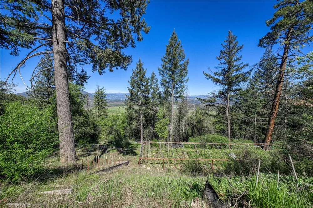 9237 Diamond Dust Kelseyville, CA 95451