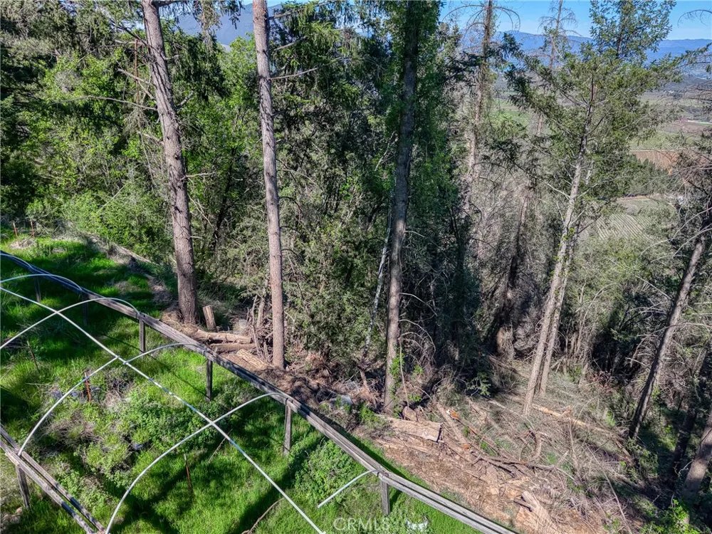 9237 Diamond Dust Kelseyville, CA 95451