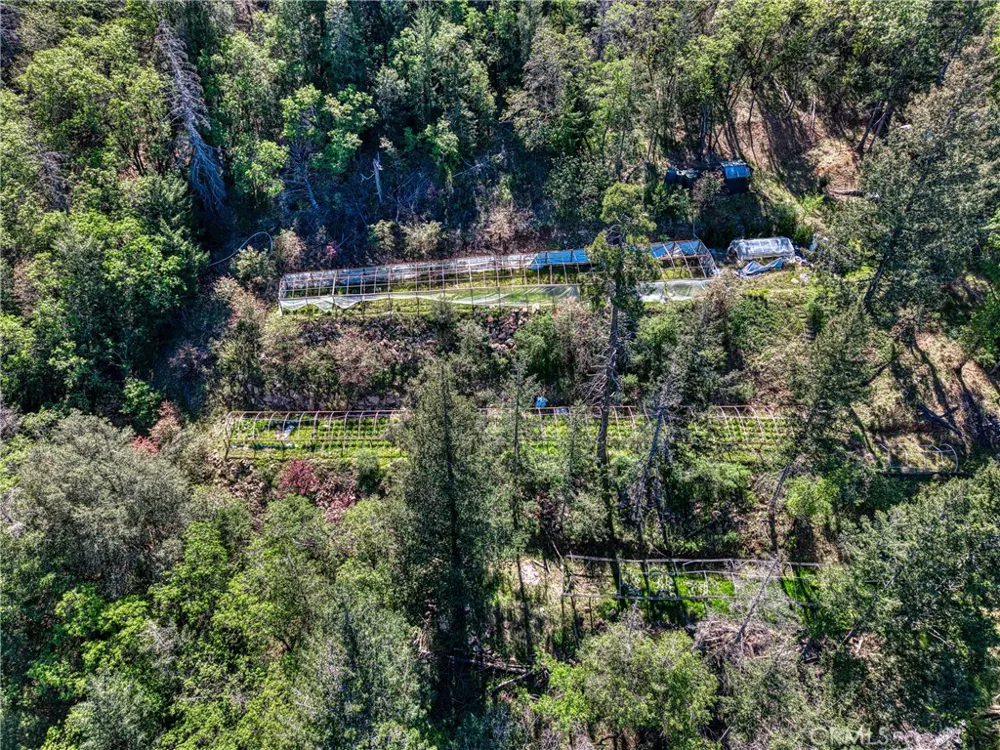 9237 Diamond Dust Kelseyville, CA 95451