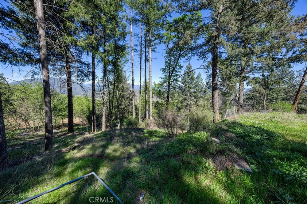 9237 Diamond Dust Kelseyville, CA 95451