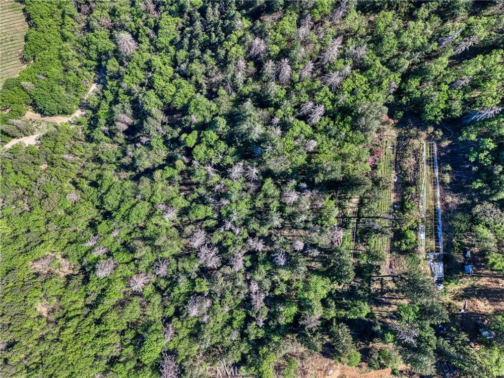 9237 Diamond Dust Kelseyville, CA 95451