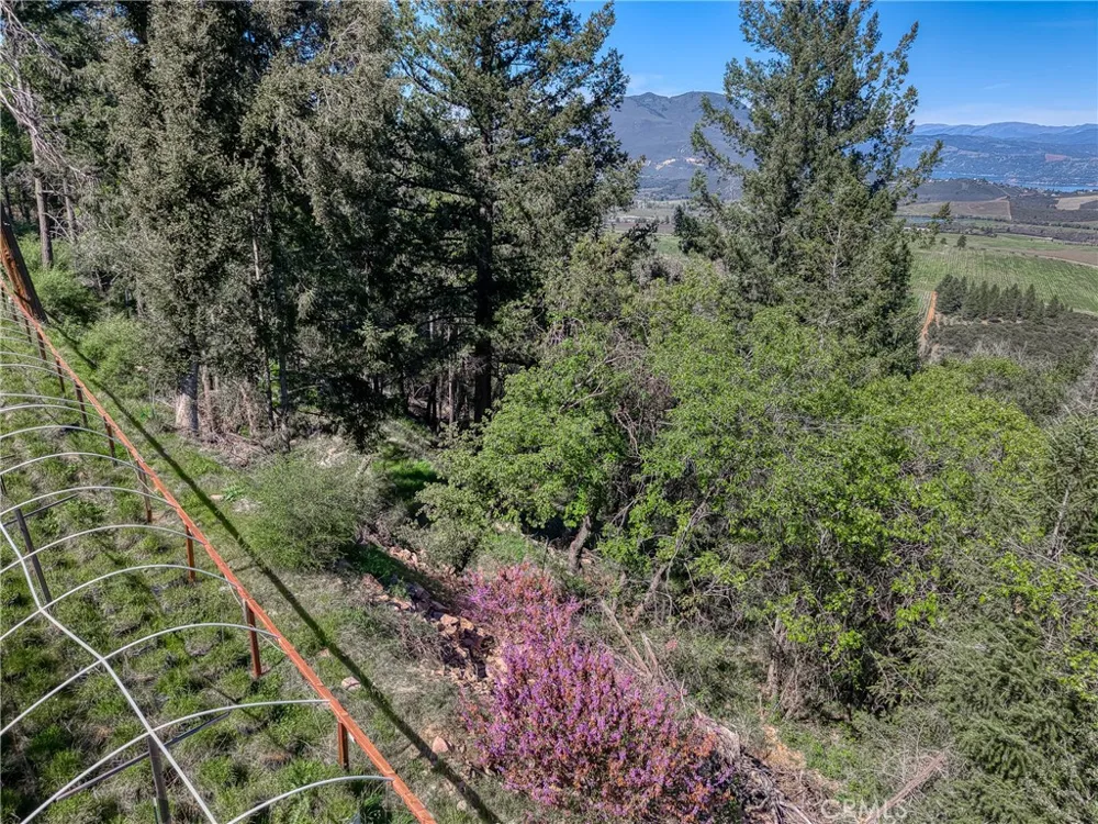 9237 Diamond Dust Kelseyville, CA 95451