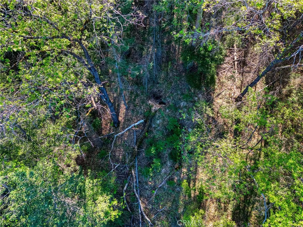 9237 Diamond Dust Kelseyville, CA 95451