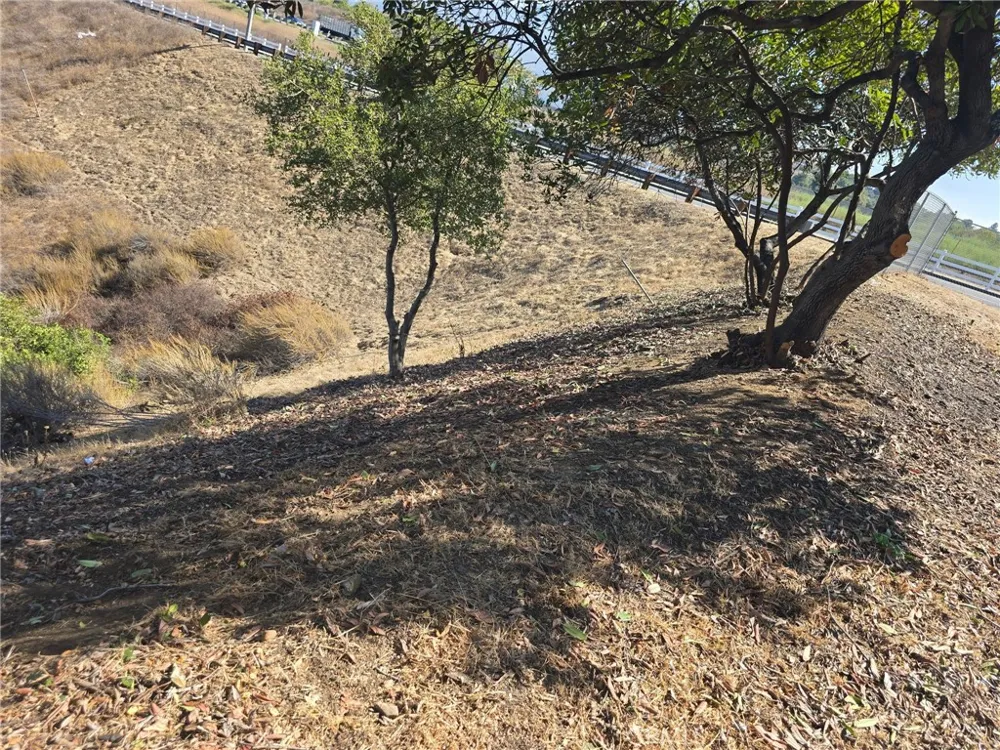 Paseo Al Deano San Dimas, CA 91773