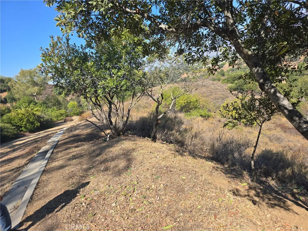 Paseo Al Deano San Dimas, CA 91773