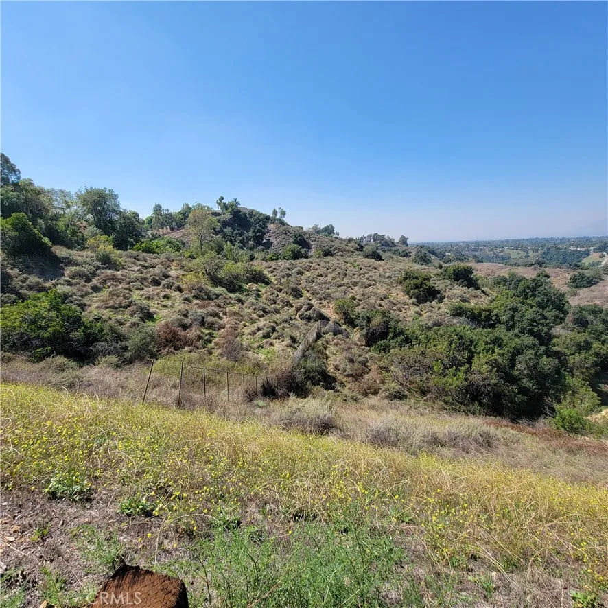 Paseo Al Deano San Dimas, CA 91773