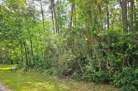 Bernard Court
