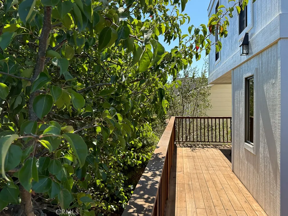 1570 Richard Cambria, CA 93428