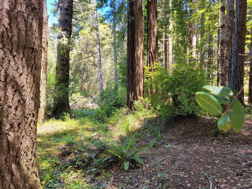 315 Chinquapin Lane The Sea Ranch, CA 95497
