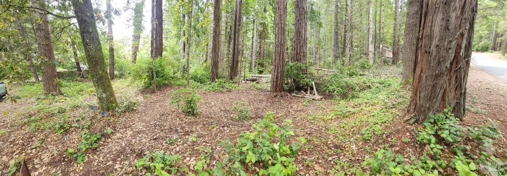 315 Chinquapin Lane The Sea Ranch, CA 95497