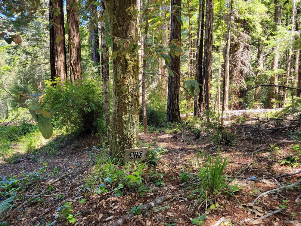 315 Chinquapin Lane The Sea Ranch, CA 95497