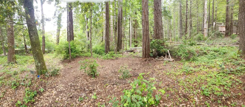 315 Chinquapin Lane The Sea Ranch, CA 95497