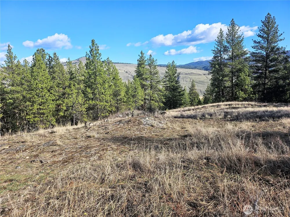 380 Lot Chopaka TBD Road Tonasket, WA 98855