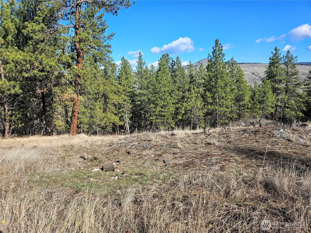 380 Lot Chopaka TBD Road Tonasket, WA 98855