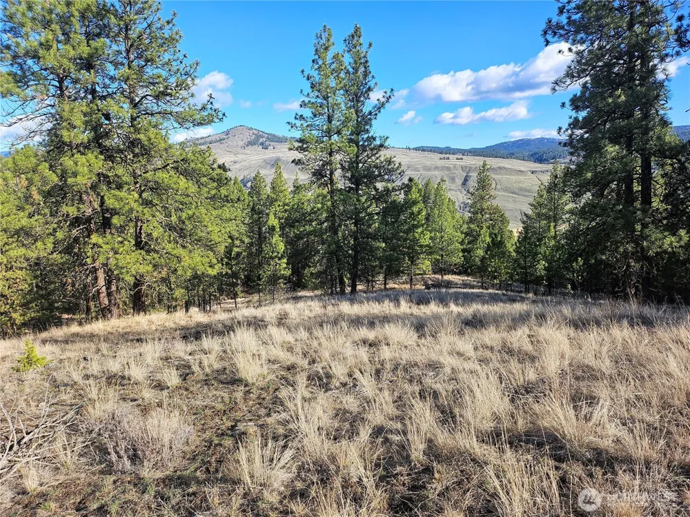 380 Lot Chopaka TBD Road Tonasket, WA 98855