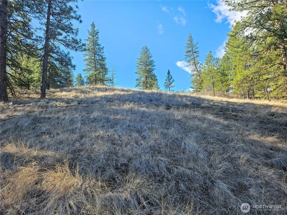 380 Lot Chopaka TBD Road Tonasket, WA 98855