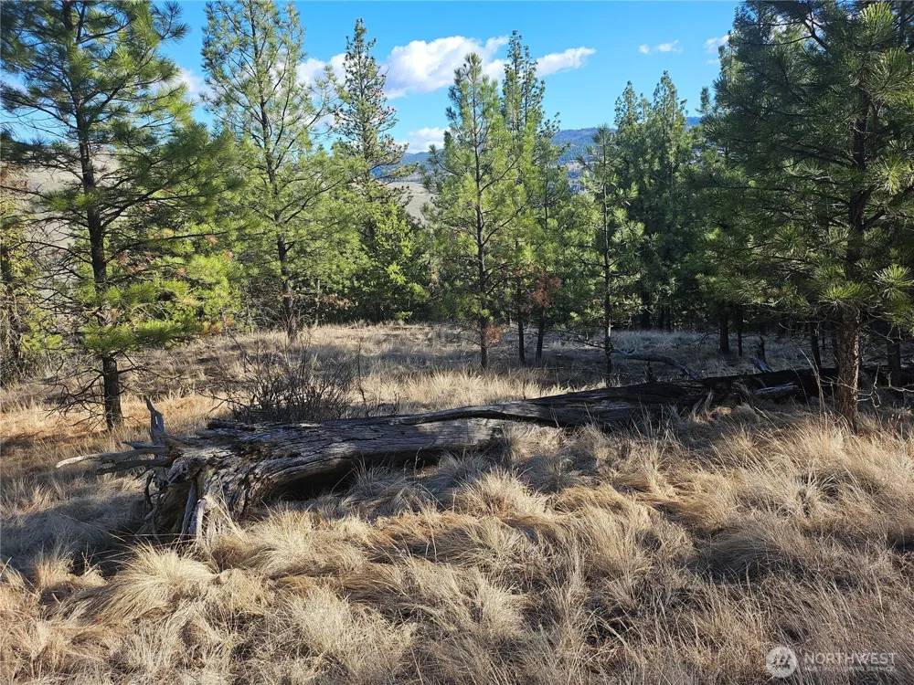 380 Lot Chopaka TBD Road Tonasket, WA 98855