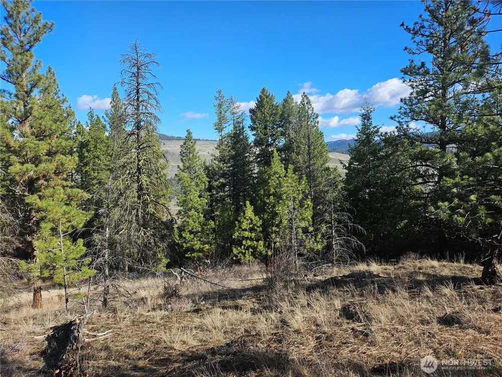 380 Lot Chopaka TBD Road Tonasket, WA 98855