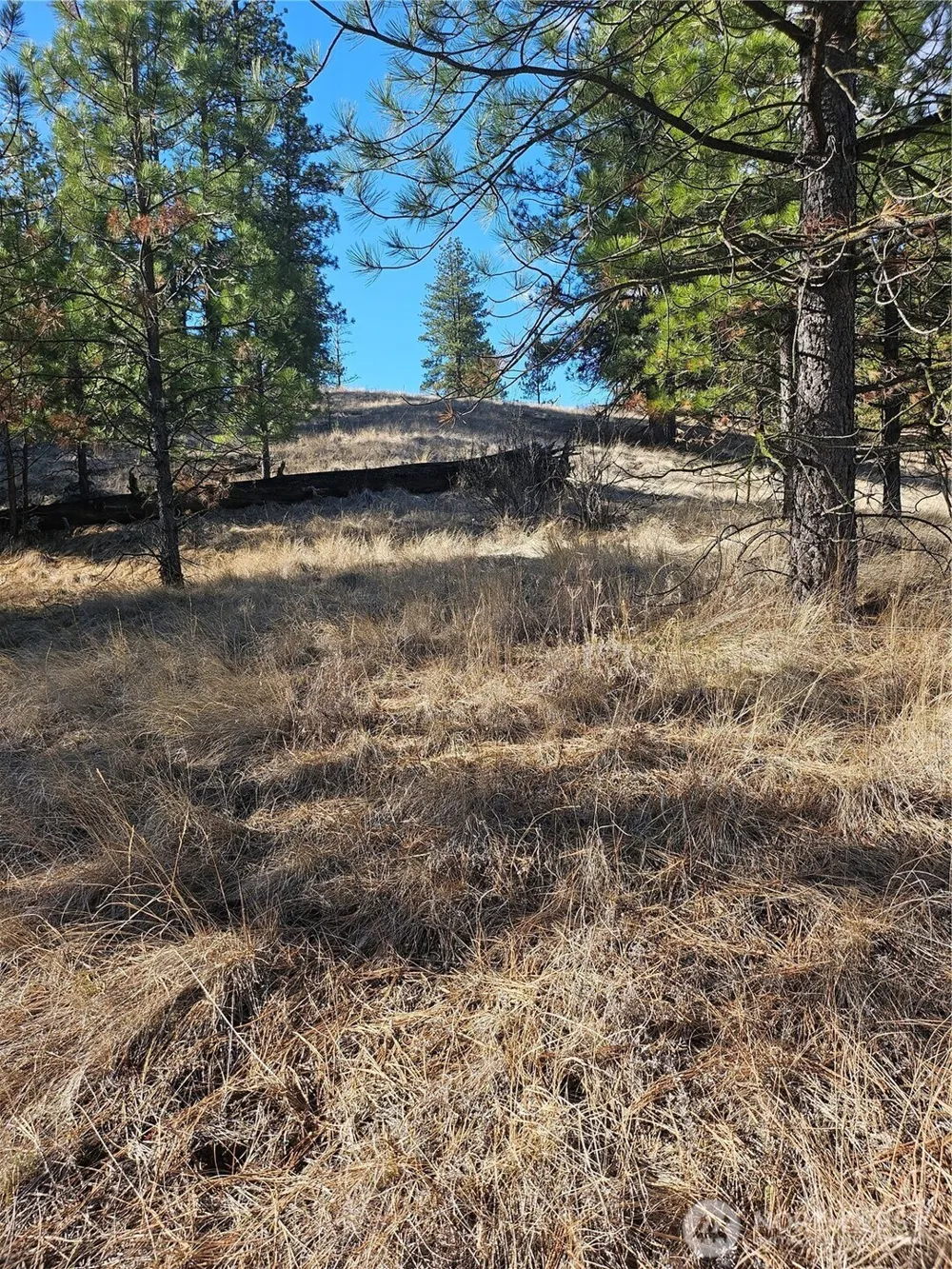 380 Lot Chopaka TBD Road Tonasket, WA 98855