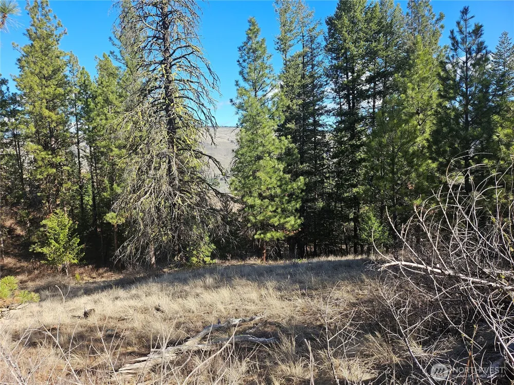 380 Lot Chopaka TBD Road Tonasket, WA 98855