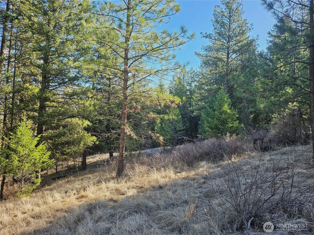380 Lot Chopaka TBD Road Tonasket, WA 98855