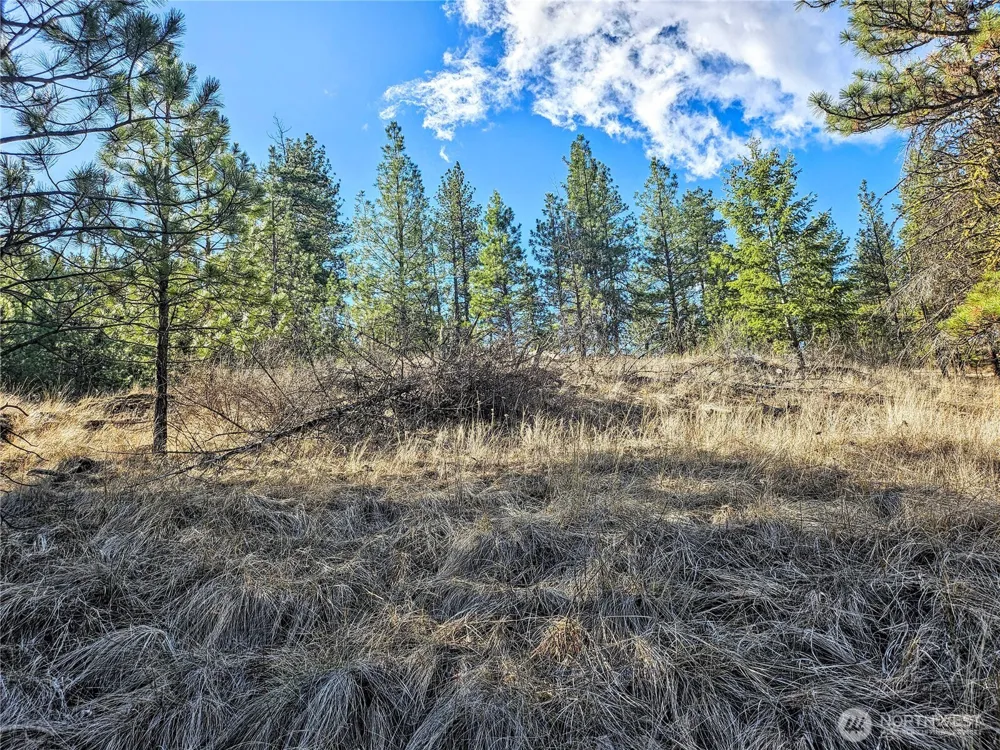380 Lot Chopaka TBD Road Tonasket, WA 98855
